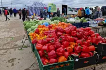 Handel warzywami Słomczyn