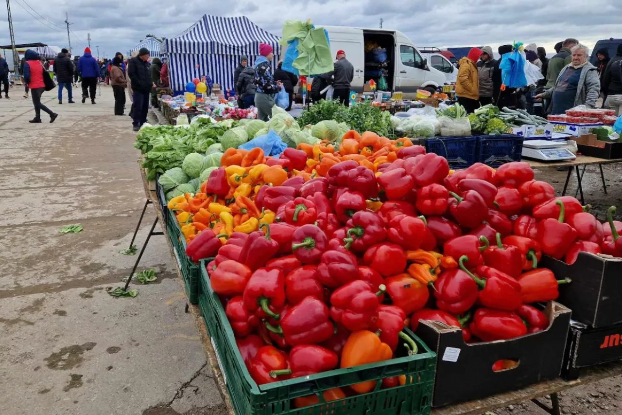 Handel warzywami Słomczyn
