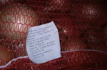 Cebula w workach z Rosji