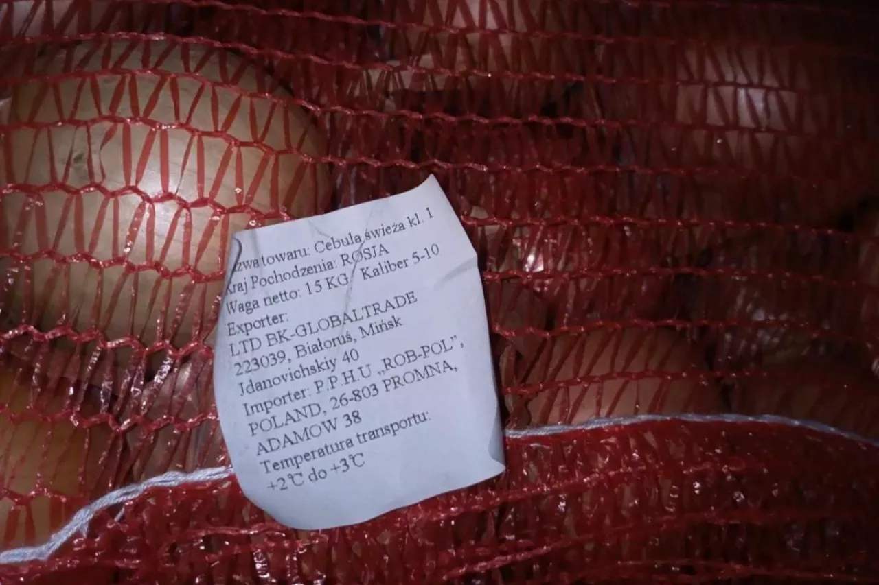 Cebula w workach z Rosji