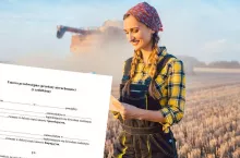 Jak sprawdzić treść księgi wieczystej? Jak zdobyć jej numer?