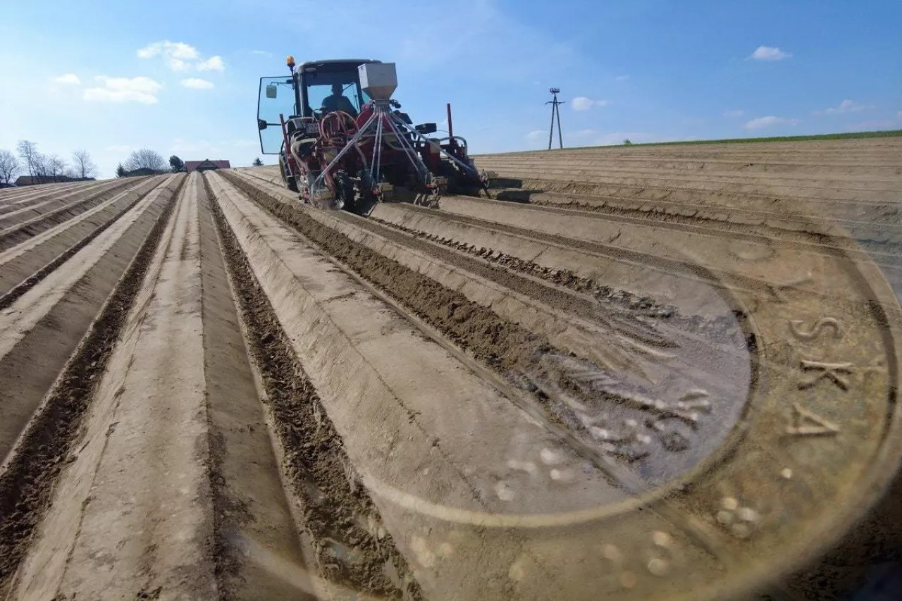 Dopłaty bezpośrednie