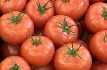 Krajowe pomidory