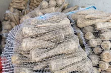 Pietruszka w workach rynek Bronisze