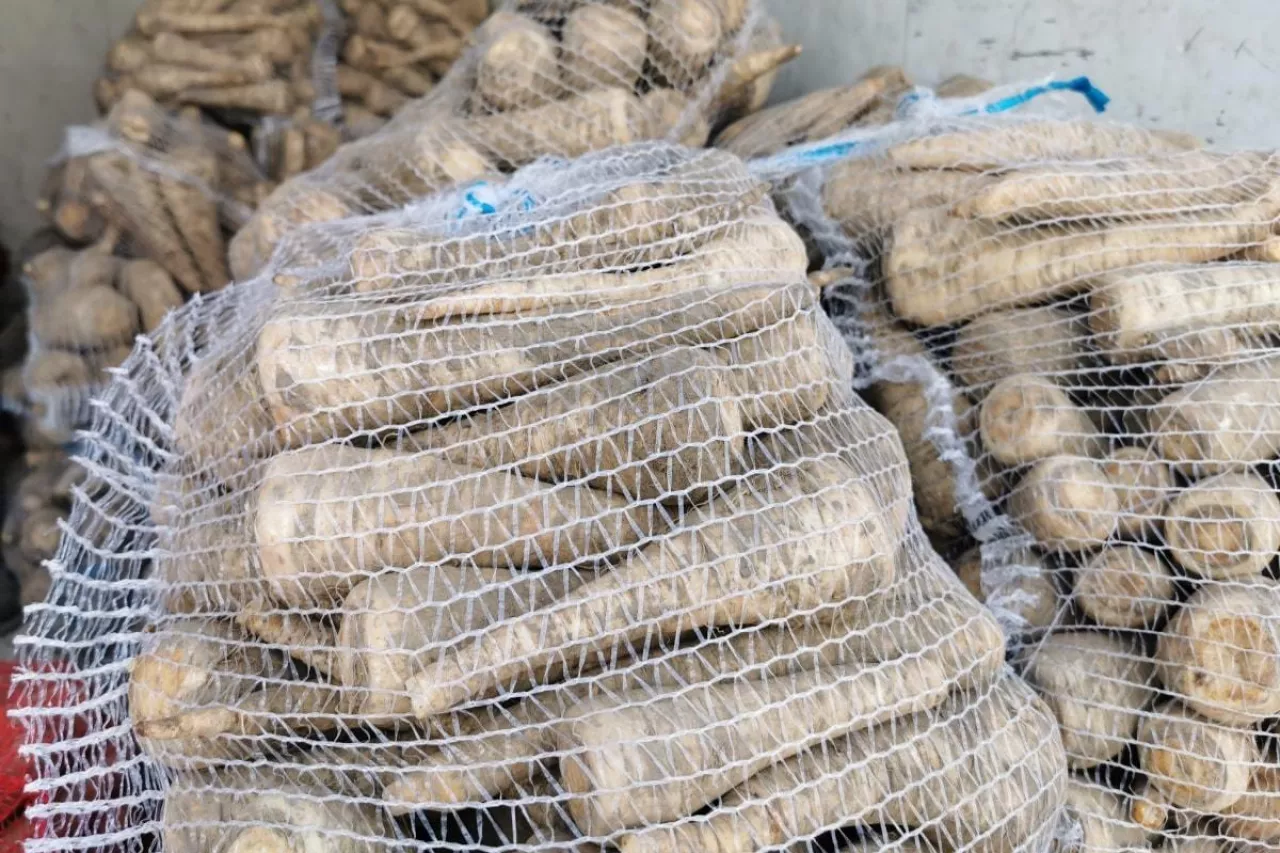 Pietruszka w workach rynek Bronisze