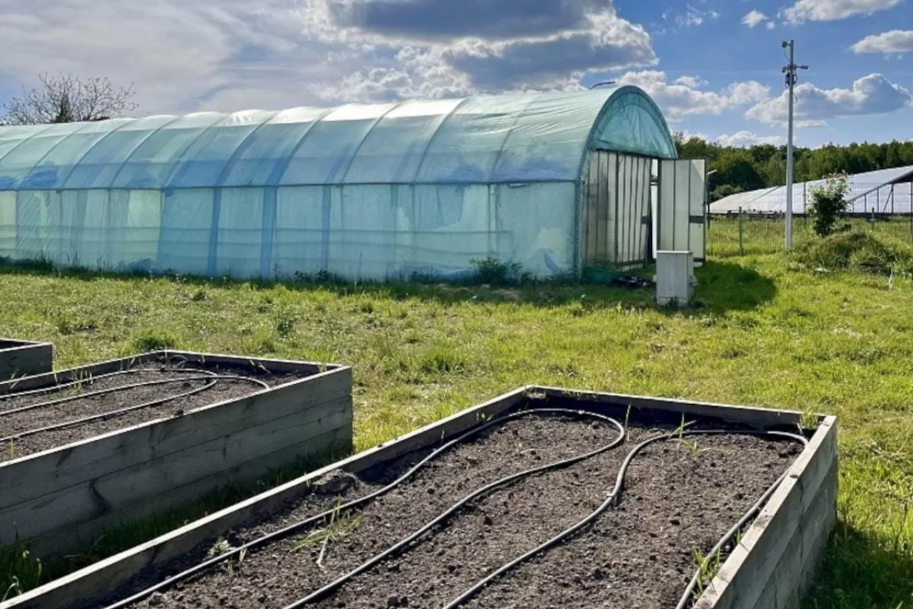 Gospodarstwo ekologiczne