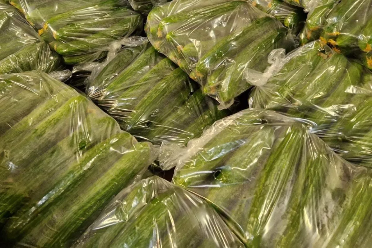 Ogórki w workach foliowych