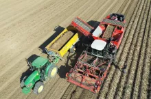 Zbiór ziemniaków kombajnem Dewulf