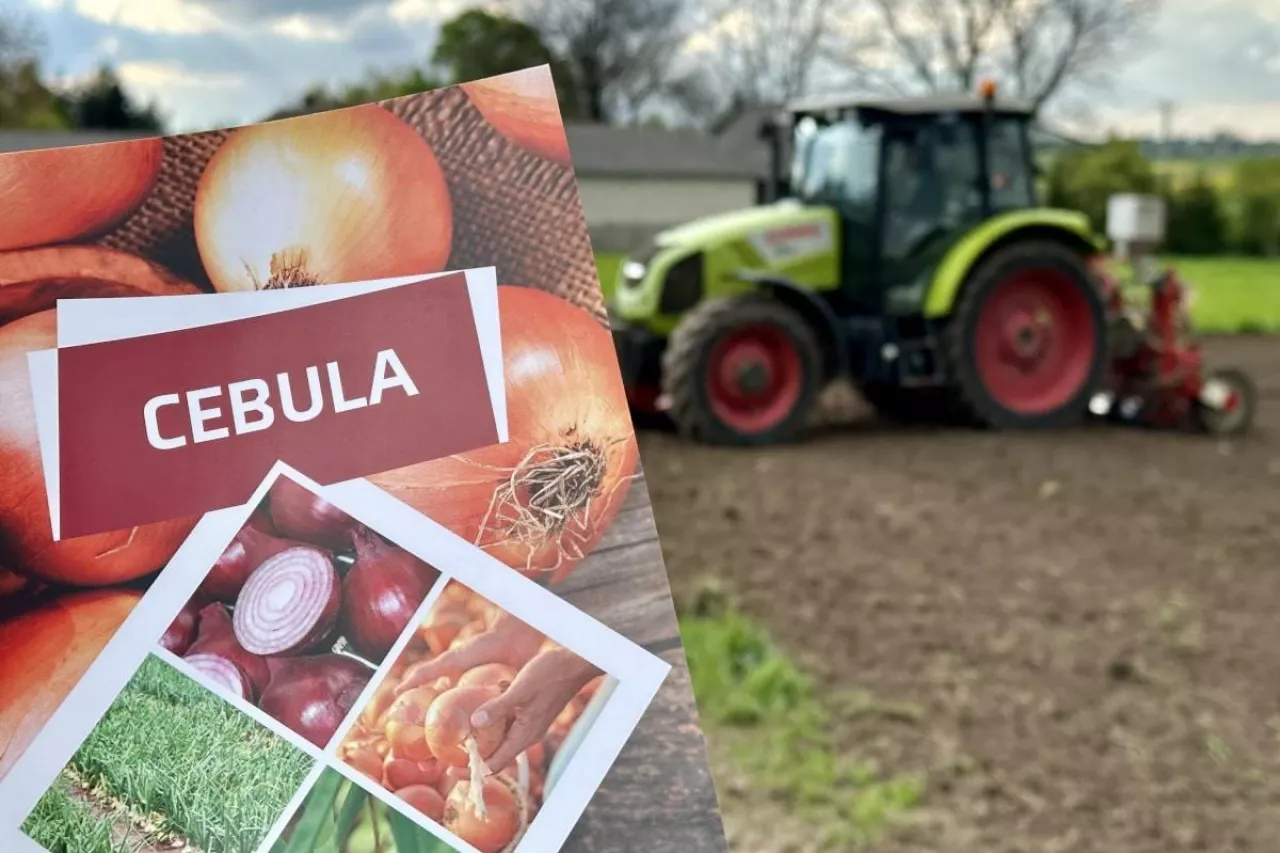 Zeszyt uprawowy cebula