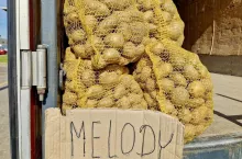 Ziemniaki Melody