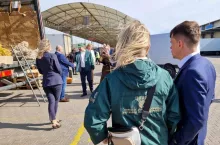 Kontrola rynek hurtowy Bronisze