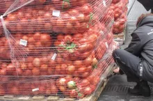 Kontrola cebuli PIORiN