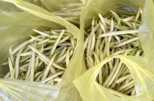 Fasolka szparagowa rynek Bronisze