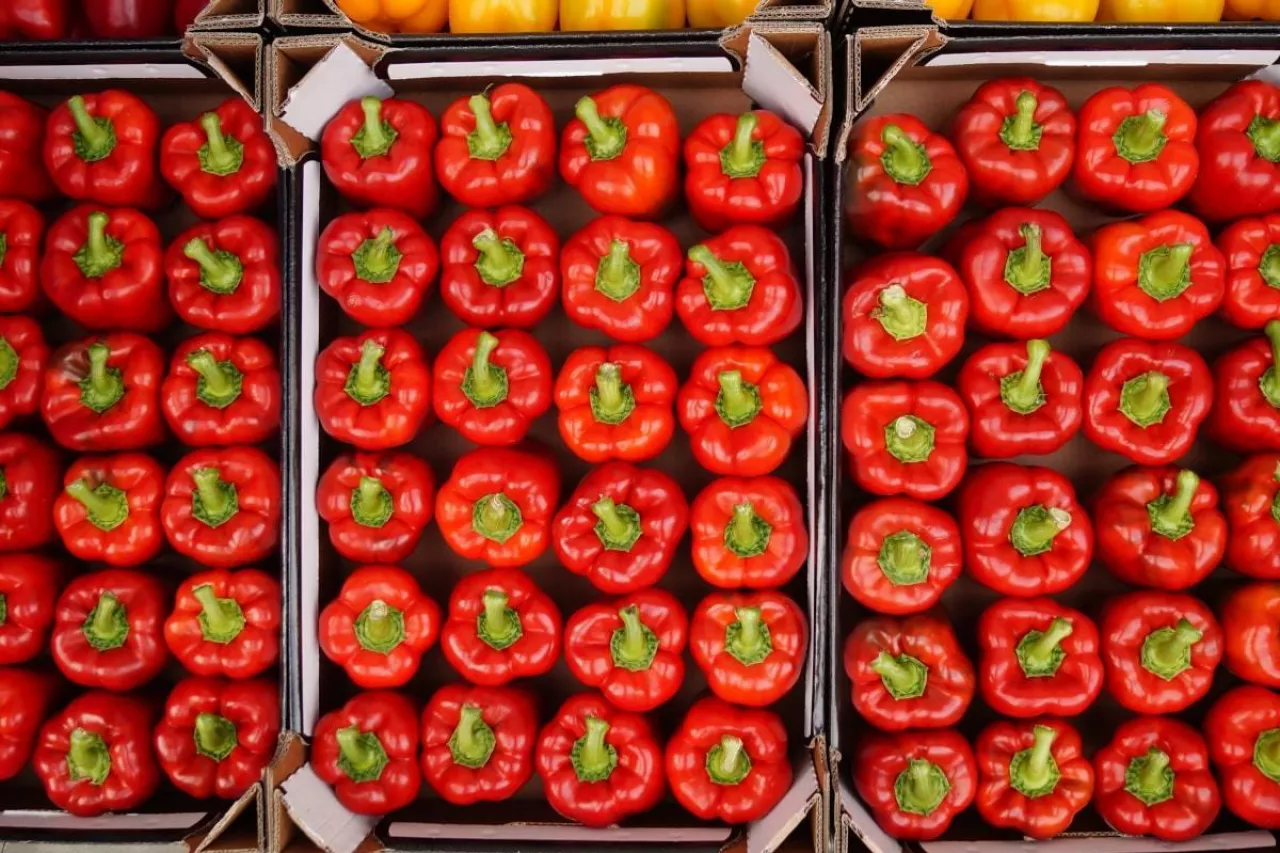 Polska papryka czerwona