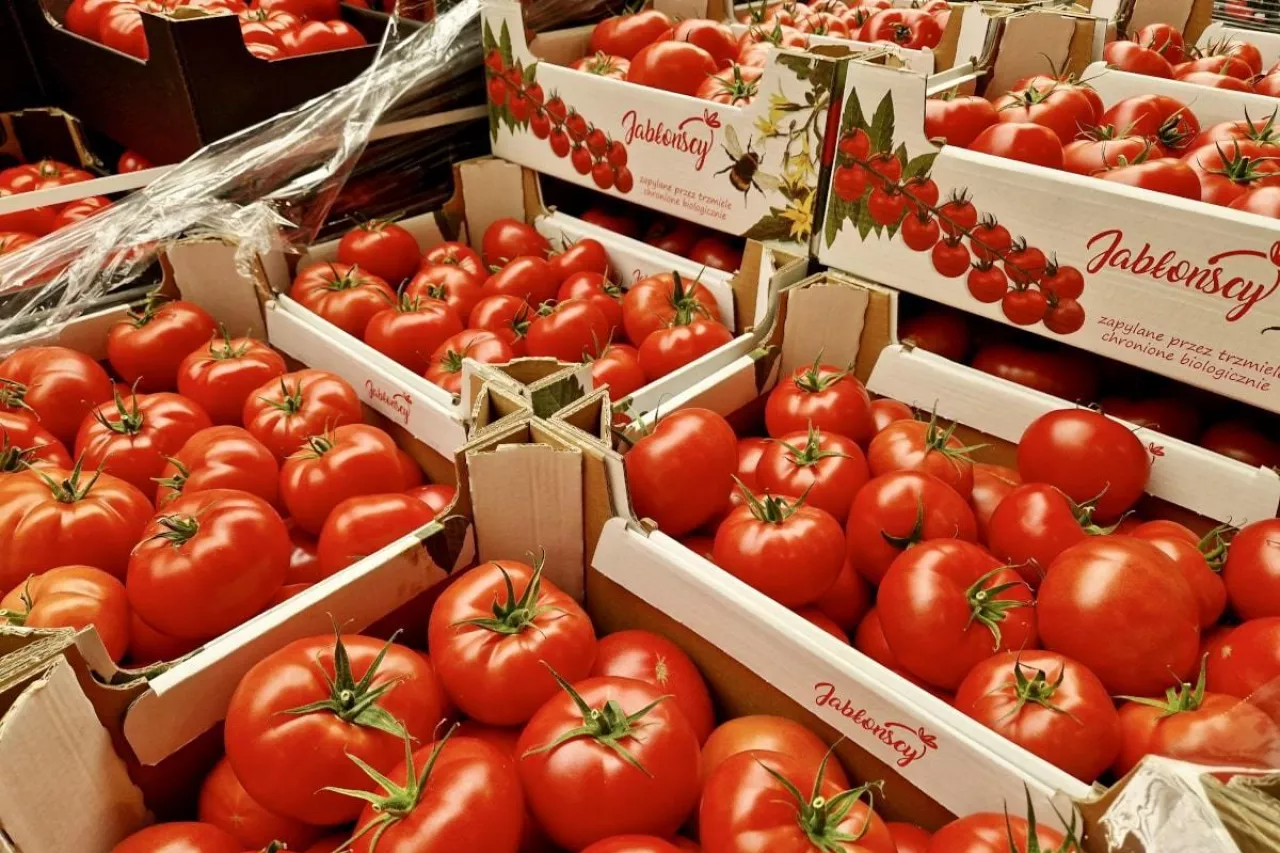 Krajowe pomidory Bronisze