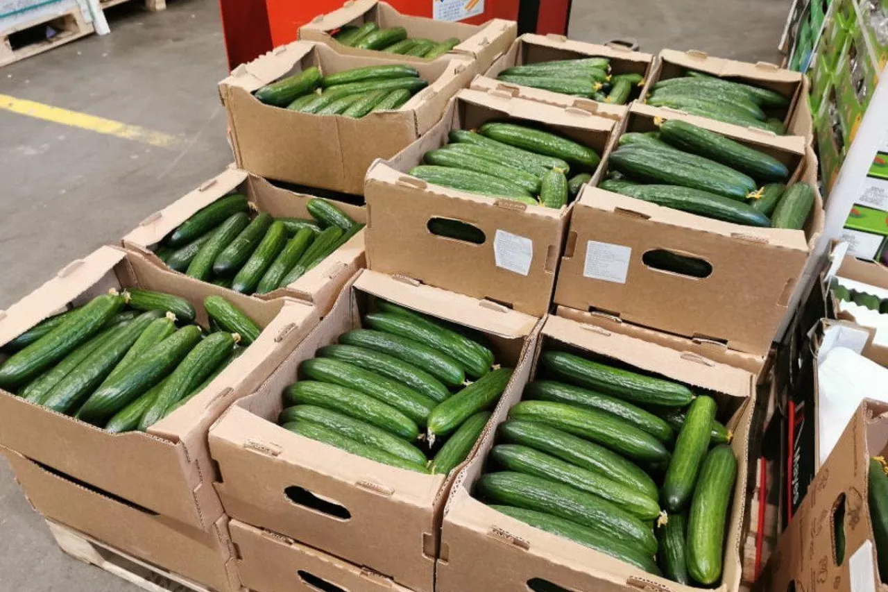 białoruskie ogórki z importu