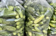 Ogórki w workach