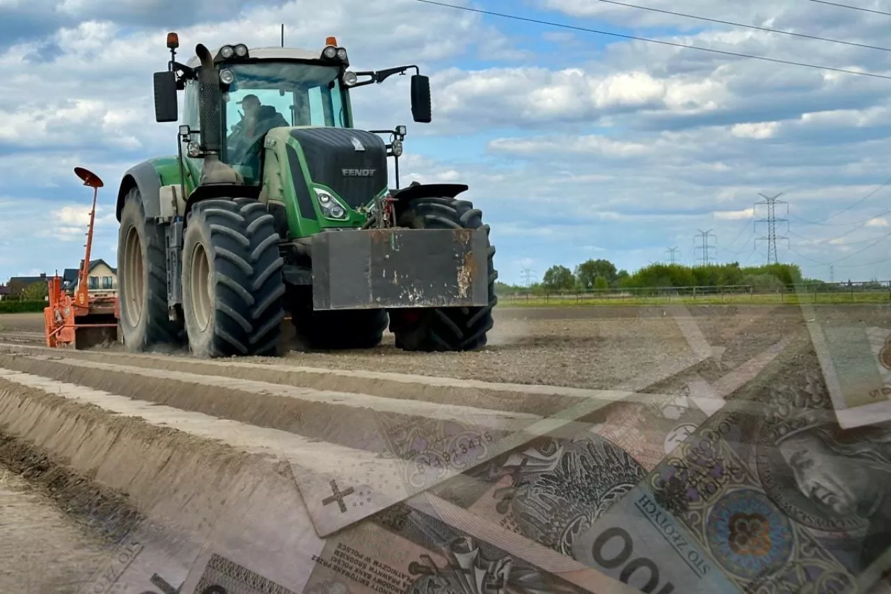 Harmonogram naboru wniosków