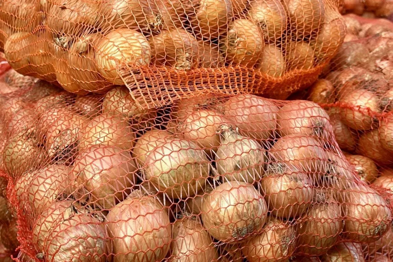 Cebula rynek hurtowy Bronisze