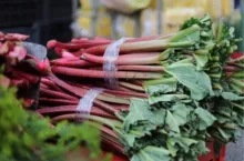 Sprzedaż rabarbaru