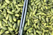 Ogórki gruntowe Bronisze