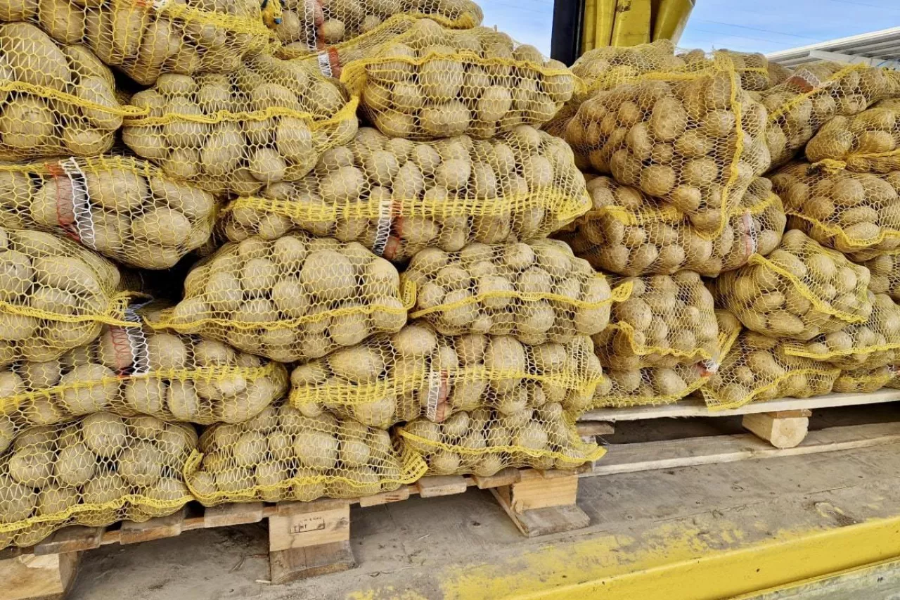 Hurtowa sprzedaż ziemniaków