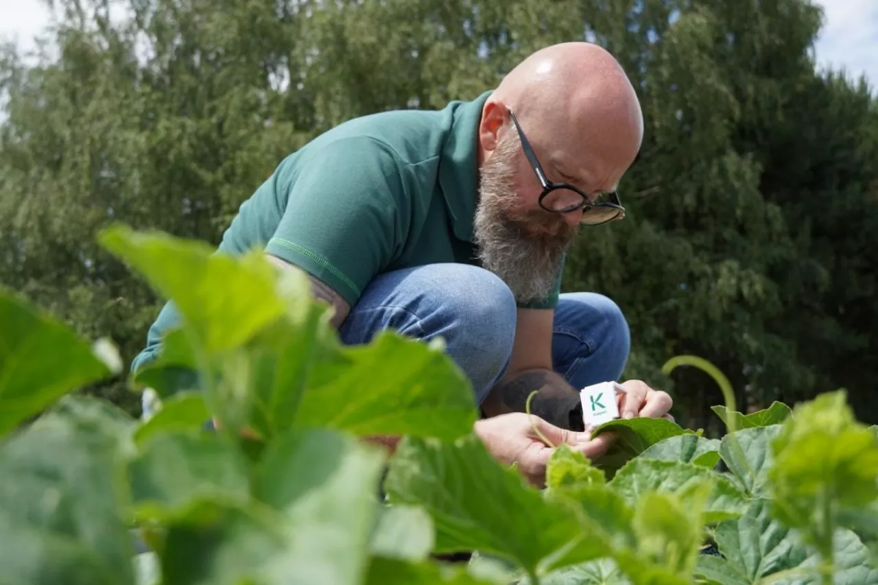 Łukasz Kutermach Koppert Polska