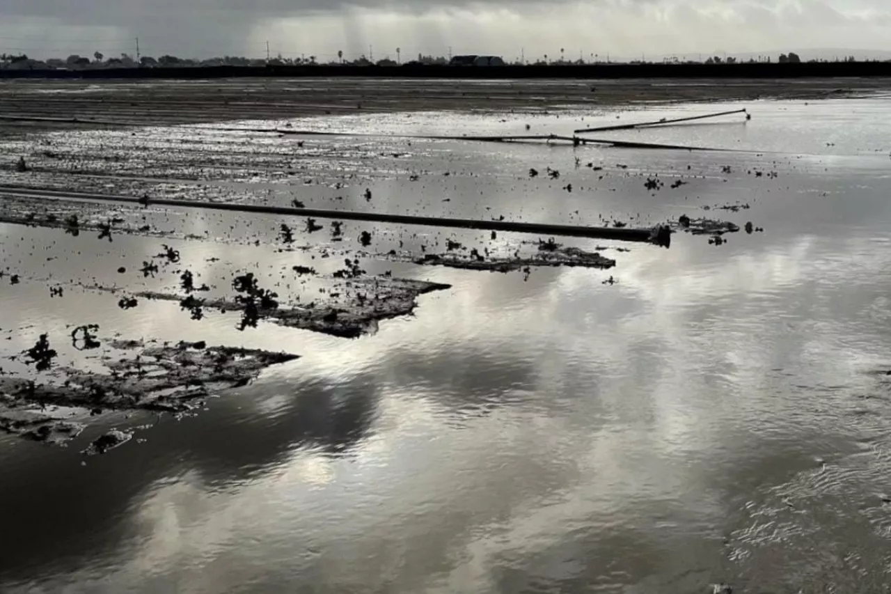 Intensywny opad deszczu