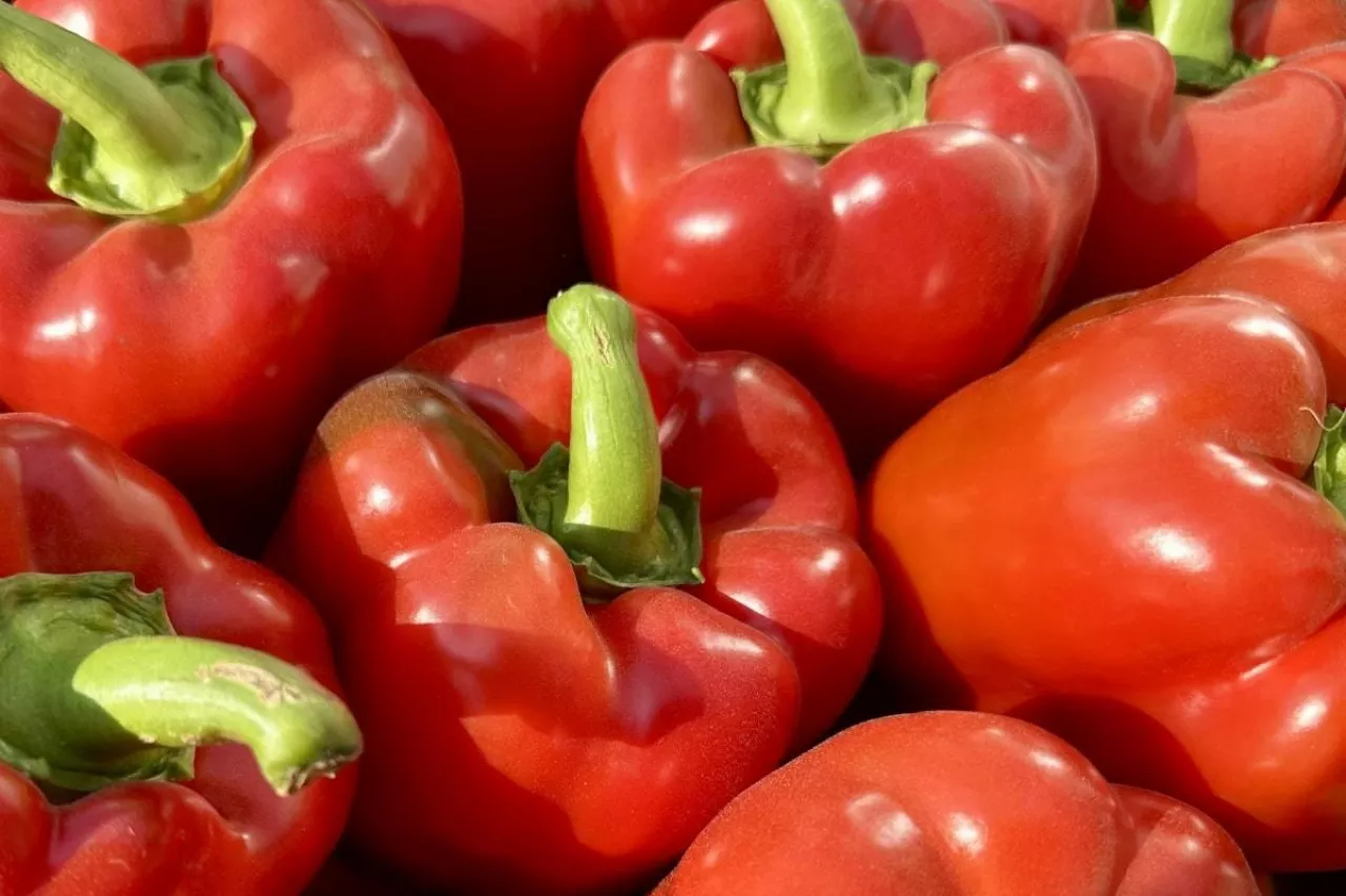 Papryka czerwona