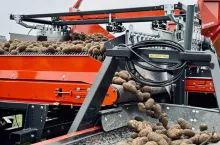 Linia sortująca ziemniaki