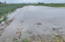 Zbiornik do zatrzymywania wody opadowej