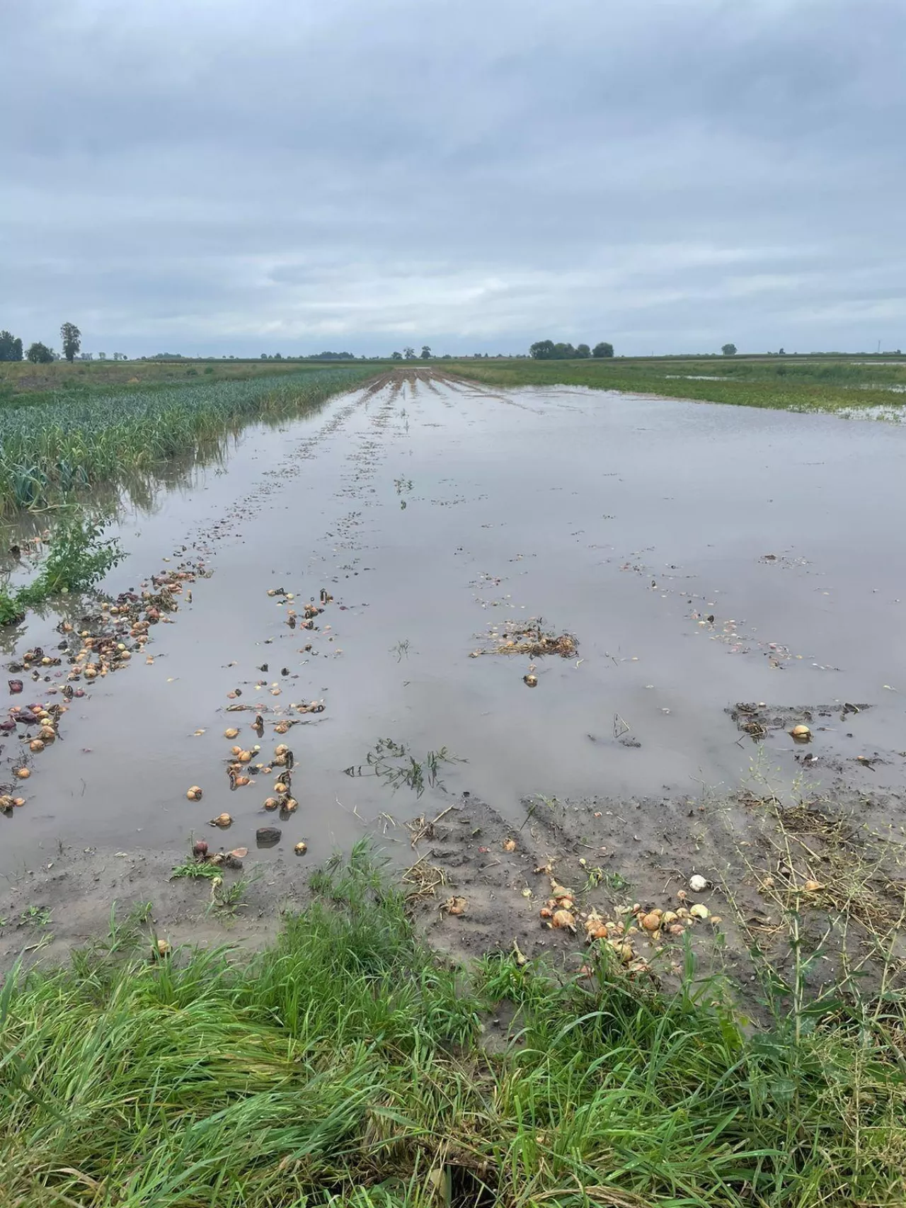 Zbiornik do zatrzymywania wody opadowej