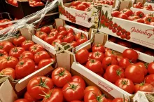 Krajowe pomidory Bronisze