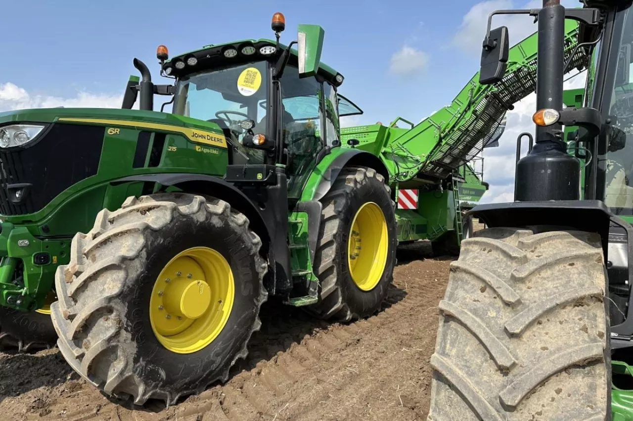 Kombajnowy zbiór ziemniaków