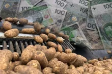 Sortowanie ziemniaków