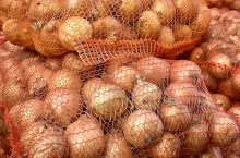 Cebula rynek hurtowy Bronisze