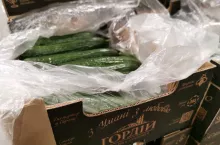 bialoruskie ogórki z importu