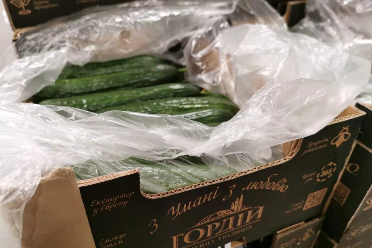 bialoruskie ogórki z importu