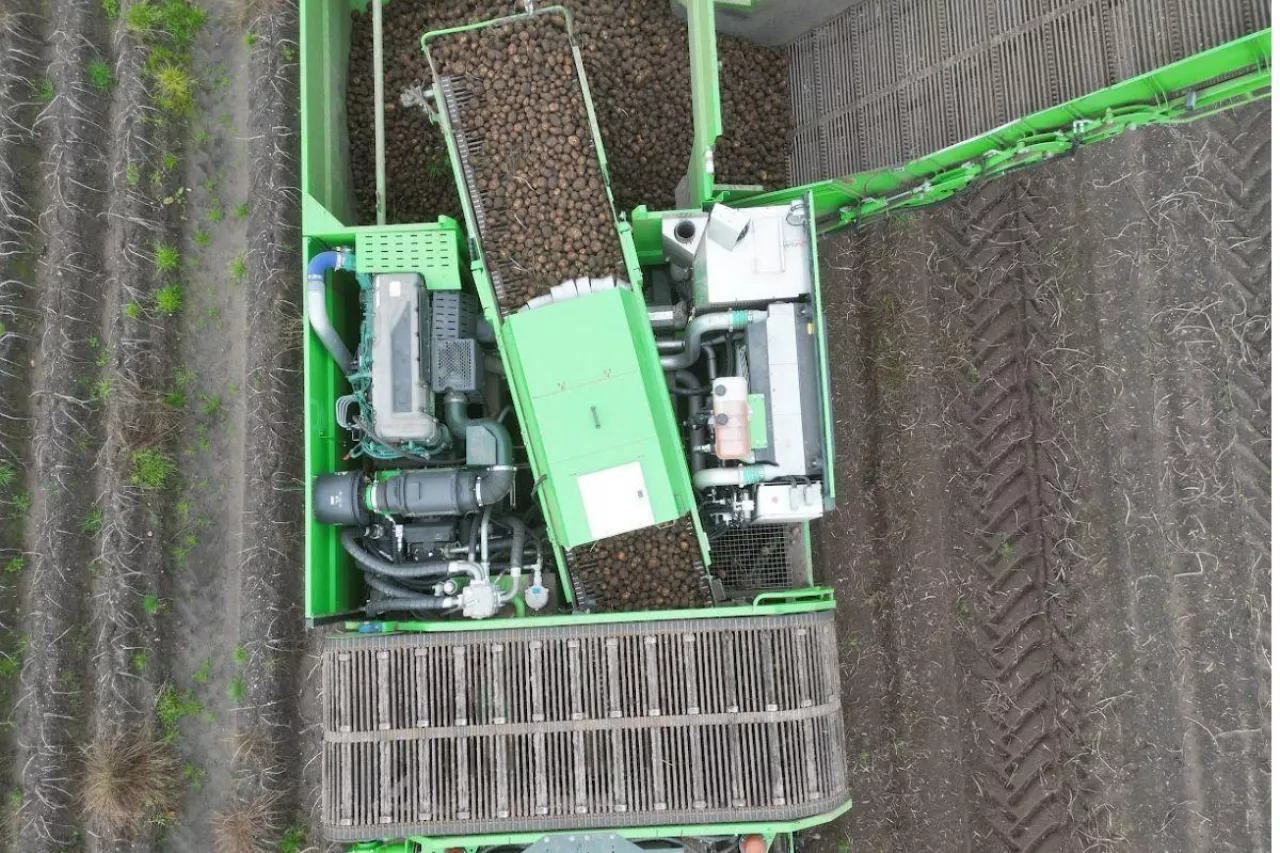 Kombajn do zbioru ziemniaków