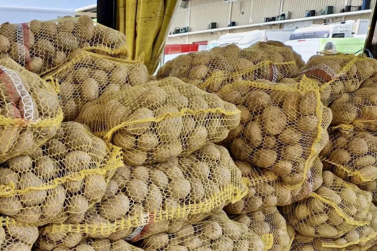 Polskie ziemniaki Bronisze