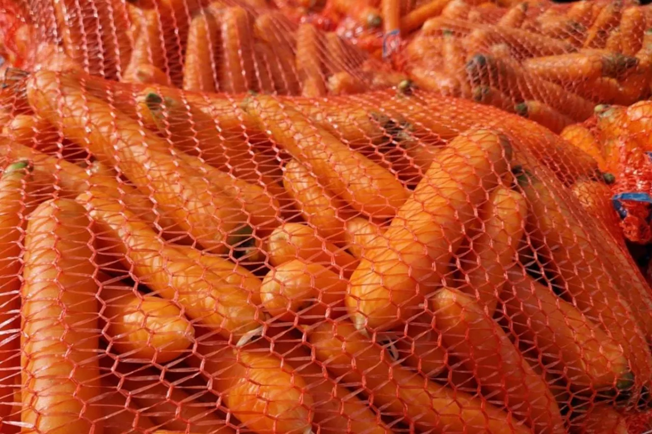 Marchew przygotowana do sprzedaży