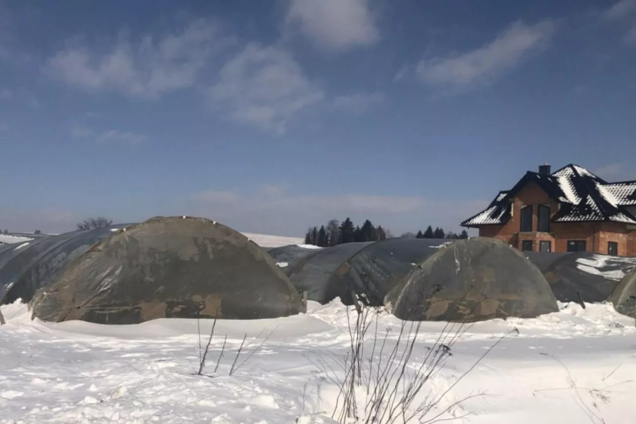 Tunele foliowe w śniegu