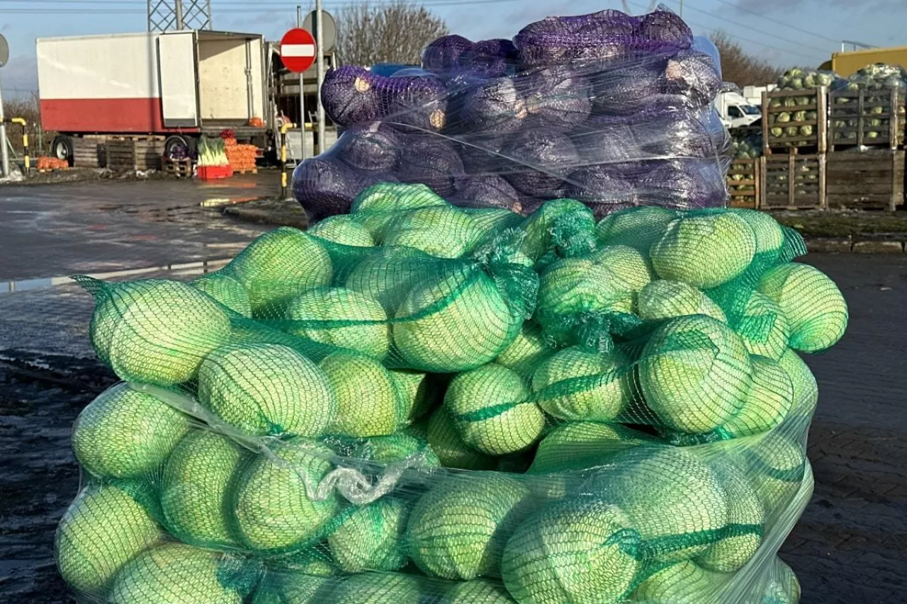 Kapusta w workach Bronisze
