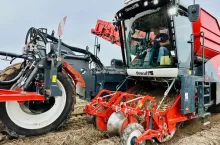 Zbiory ziemniaków kombajnem Dewulf