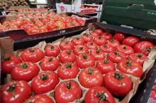 Polskie pomidory w kartonach