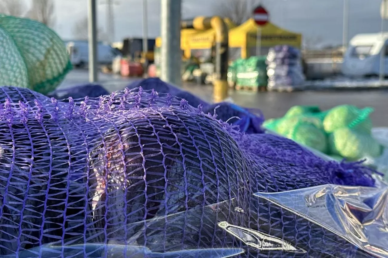 Rynek hurtowy w Broniszach