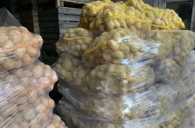 Ziemniaki na palecie