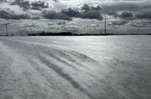 Plantacja ziemniaków pod agrowłókniną
