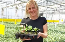 Marta Przepiórka, Rozsadnik Wąsiewicz