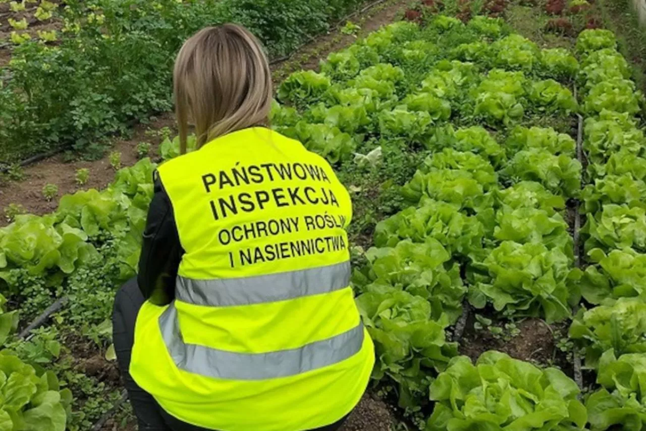 Państwowa Inspekcja Ochrony Roślin i Nasiennictwa